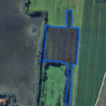 Terreno Agricolo - 16.000mq - Campi Bisenzio | RIF. DC96 - Terreno